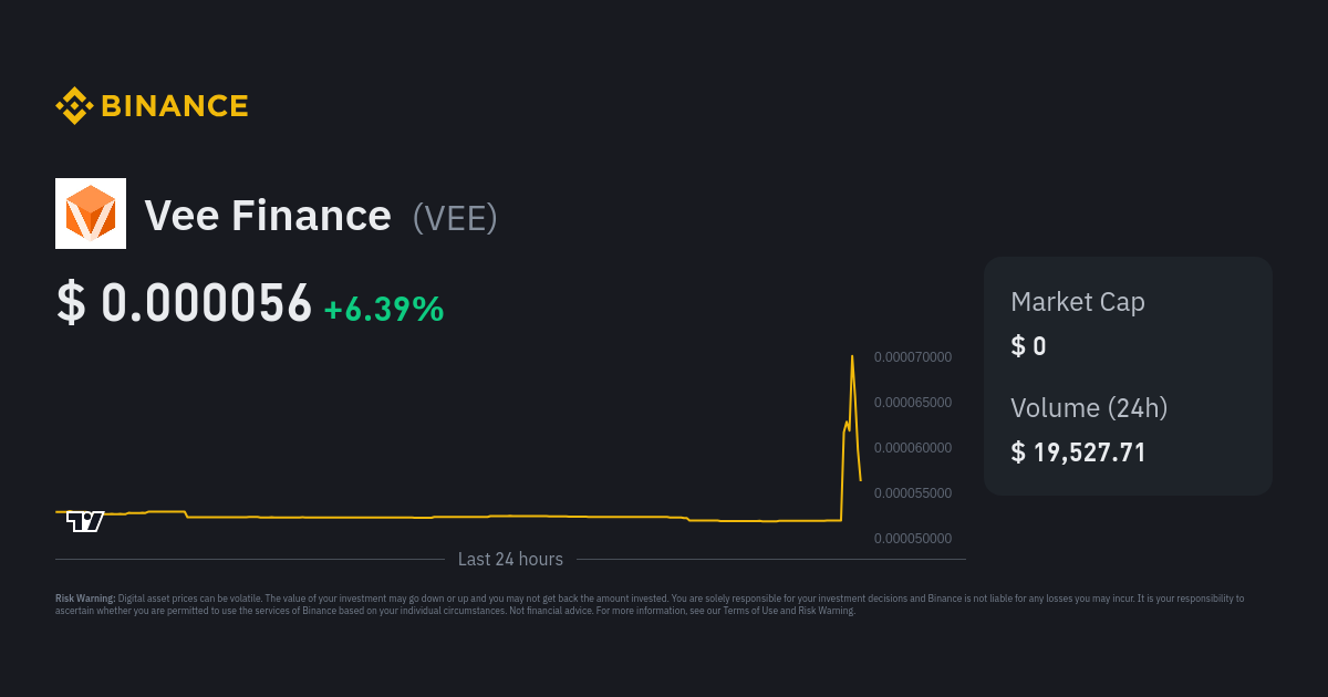 vee finance