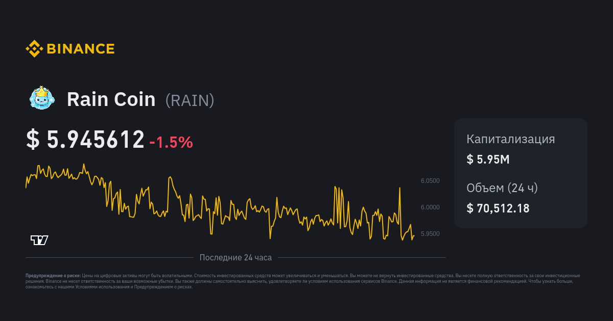 Rain Coin RAIN